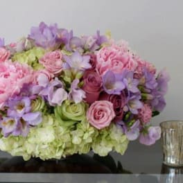 Lilies Delivery Sherman Oaks Sherman Oaks Florist