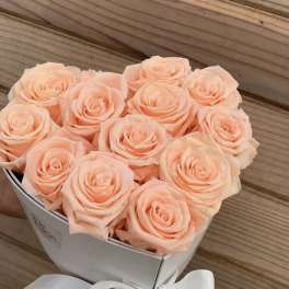 Peach roses arranged in a white box with a ribbon bow