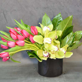 Tulips & Orchids