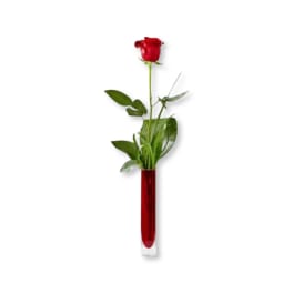 The Red Rose 