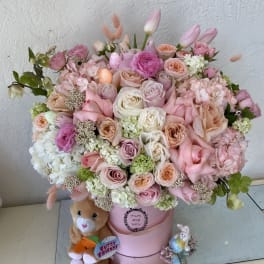 Song of spring