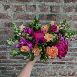 Fuchsia Fun