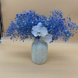 Blue baby's breath arrangement with white orchids in a patterned vase