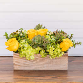 Mellow Yellow