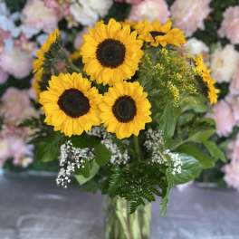 Sunflower bouquet in a clear glass vase with white filler flowers