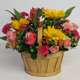 The Fall Basketx2