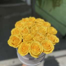 Bouquet of yellow roses in a round box