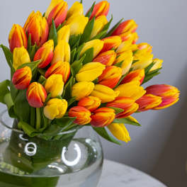 Bouquet of yellow and orange tulips in a clear glass vase