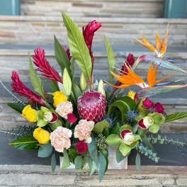 Tropical flower arrangement with birds of paradise and roses in a rectangular container