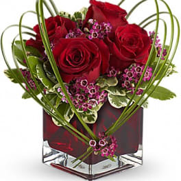 Red roses in a square glass vase with looping green stems