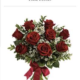 Dozen Long Stemmed Roses