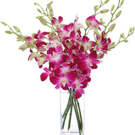 ELEGANT ORCHID BOUQUET