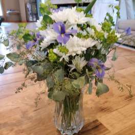 white daisies and purple iris