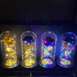 Four rose domes under clear glass cloches with colored lights