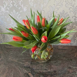 Orange tulips arranged in a clear glass vase