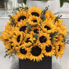 Bouquet of bright yellow sunflowers in a black box