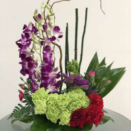 Purple orchids and red-green carnations in a low floral arrangement