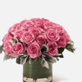 Pink roses arranged in a clear glass vase with silvery foliage