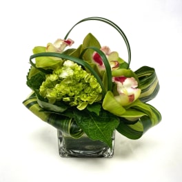 Go Green 