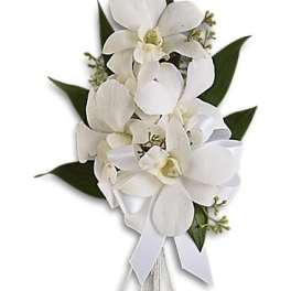White orchid bouquet with ribbon on a white background