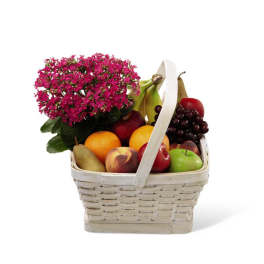 The FTD Garden's Paradise Basket
