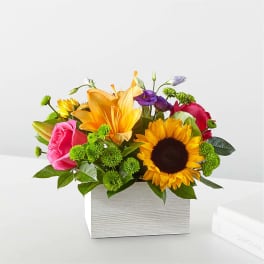 Bright mixed bouquet in a white rectangular box with roses, lilies, and a sunflower