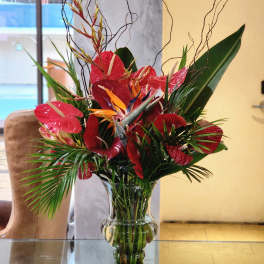 Tropical arrangement with red anthuriums and bird of paradise in a glass vase