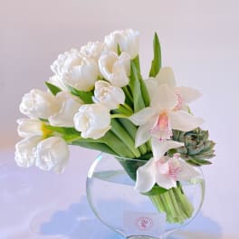 White tulips and orchids arranged in a clear glass vase with a succulent accent
