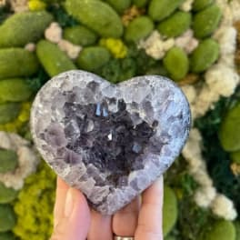 Eternal Amethyst