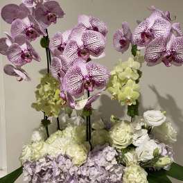 Arrangement of pink orchids, white roses, and pale hydrangeas in a vase