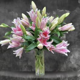 Lovely Lilies
