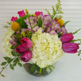 Graceful Beauty - Beverly Hills