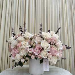 Blush & Bloom