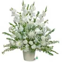 Pure Whites