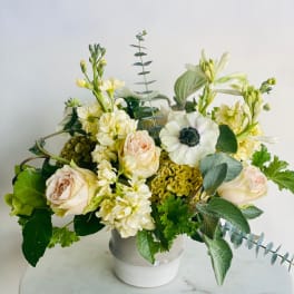 Beco flowers store