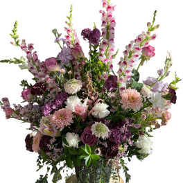 Purple Sympathy 