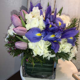 Purple tulips and blue irises with white hydrangeas in a square vase