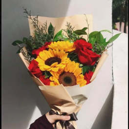Sunflower Beauty