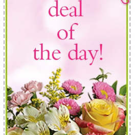 Pink greeting card with flowers and scissors, reading "deal of the day!"
