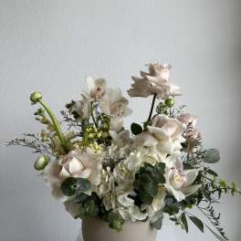 Harmony in Bloom