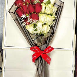 Bouquet of red and white roses wrapped in dark paper with a red ribbon
