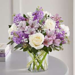 Lovely Lavender
