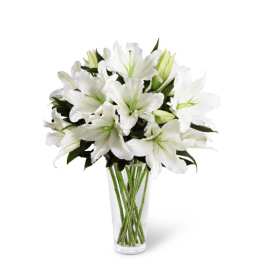 Beautiful white Oriental Lilies