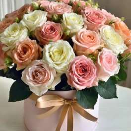 Pink and white roses arranged in a round hatbox with a ribbon