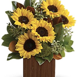Sunflower arrangement in a wooden box with green foliage