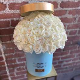 50 White Roses Box- Buzzy Bee Flowers