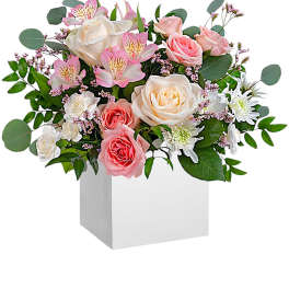 Pink and white roses with alstroemeria in a white box