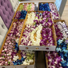 Boxes filled with purple, white, blue, and pink orchid blooms