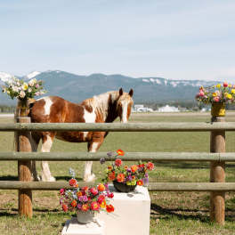 Colorful mixed flower arrangements in vases by a wooden fence with a brown and white horse in a field.
