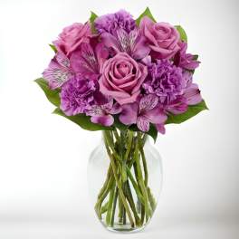 Purple Passion